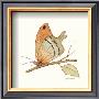 Butterfly In Orange by Peggy Abrams Limited Edition Pricing Art Print