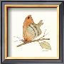 Butterfly In Orange by Peggy Abrams Limited Edition Print