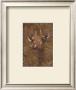 Safari Giraffe by Joe Sambataro Limited Edition Print