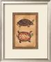 Box Turtle I by Debra Swartzendruber Limited Edition Print