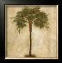 Mediterranean Palm by Keith Mallett Limited Edition Print