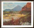 Desert Beauty by Vernon Kerr Limited Edition Print
