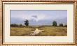 Evening On A Marsh by Peter Sculthorpe Limited Edition Pricing Art Print