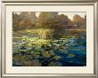 Waterlilies by Philip Craig Limited Edition Pricing Art Print