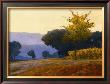 Meadow by Kent Lovelace Limited Edition Print