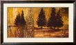 Forest Silhouettes Ii by Linda Thompson Limited Edition Print