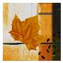 Dry Leave No. 1 by Miguel Paredes Limited Edition Pricing Art Print