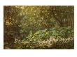 Under The Dock Leaves - An Autumnal Evening's Dream, 1878 by Richard Doyle Limited Edition Pricing Art Print