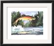 Rainbow Trout by Paul Brent Limited Edition Print