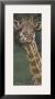 Safari Giraffe by Harold Rigsby Limited Edition Pricing Art Print