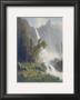 Bridal Veil Falls, Yosemite, C.1871-73 by Albert Bierstadt Limited Edition Pricing Art Print