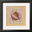 Sea Treasures I by Janet Kruskamp Limited Edition Print