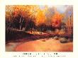 Autumn Stream by Robert Striffolino Limited Edition Pricing Art Print