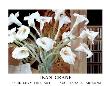 Calla Lilies by Jean Crane Limited Edition Pricing Art Print