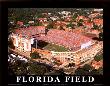 University Of Florida - Gainsville, Florida by Mike Smith Limited Edition Print