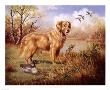 Golden Retriever With Decoy by Judy Gibson Limited Edition Pricing Art Print