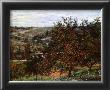 Pommiers Pres De Vetheuil by Claude Monet Limited Edition Print