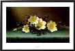 Four Cherokee Roses by Martin Johnson Heade Limited Edition Print