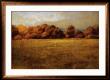 Field With Treeline by Robert Striffolino Limited Edition Pricing Art Print