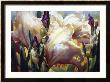Iris Garden by Elizabeth Horning Limited Edition Pricing Art Print