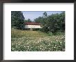 Old Town Bridge Near Greenup, Kentucky, Usa by Adam Jones Limited Edition Print