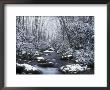 Cosby Creek In Winter, Great Smoky Mountains National Park, Tennessee, Usa by Adam Jones Limited Edition Print