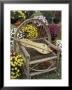 Handmade Dulcimer Among Mums, Berea College, Berea, Kentucky, Usa by Adam Jones Limited Edition Pricing Art Print