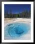 Morning Glory Pool, Yellowstone National Park, Wyoming, Usa by Adam Jones Limited Edition Print