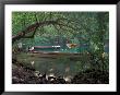 Blue Lagoon, Jamaica, Caribbean by Robin Hill Limited Edition Print