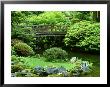 Footbridge, Japanese Garden Portland, Oregon by Adam Jones Limited Edition Pricing Art Print