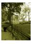 Central Park I by Miguel Paredes Limited Edition Pricing Art Print