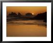 Bandon Beach With Mirrored Seastack Reflections, Oregon, Usa by Adam Jones Limited Edition Print