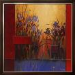 Iris Sunrise by Don Li-Leger Limited Edition Print