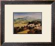 Fields Of Provence Ii by Max Hayslette Limited Edition Print