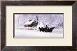 Cape Cod Sleighride by Paul Landry Limited Edition Print