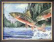 Brook Trout by Paul Brent Limited Edition Pricing Art Print