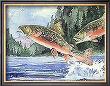 Brook Trout by Paul Brent Limited Edition Print