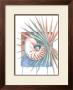 Palmettonautilus by Paul Brent Limited Edition Print