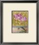 Phalaenopsis Orchid by Fred Wessel Limited Edition Pricing Art Print