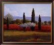 St. Saturnin Olives by Kent Lovelace Limited Edition Print