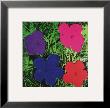 Flowers, C.1964 (1 Purple, 1 Blue, 1 Pink, 1 Red) by Andy Warhol Limited Edition Print