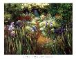 Secluded Garden by Greg Singley Limited Edition Print