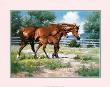 Horse And Colt by Jack Sorenson Limited Edition Print