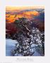 Grand Canyon Sunrise by William Neill Limited Edition Print