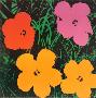 Flowers, 1964 by Andy Warhol Limited Edition Print