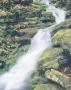 Waterfall by Terry Donnelly Limited Edition Print