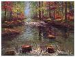 Cascading Brook Ii by Van Martin Limited Edition Print