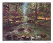 Cascading Brook I by Van Martin Limited Edition Pricing Art Print