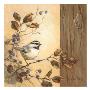 Bird Wood Ii by Barbara Mock Limited Edition Pricing Art Print