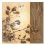 Bird Wood Ii by Barbara Mock Limited Edition Print
